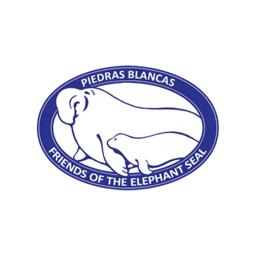 Friends of the Elephant Seal