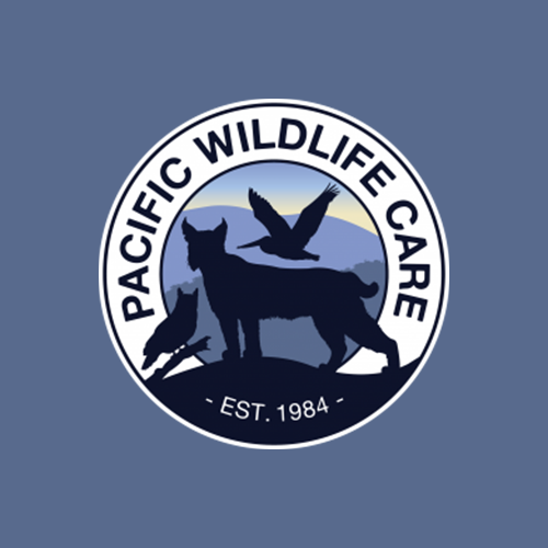 Pacific Wildlife Care